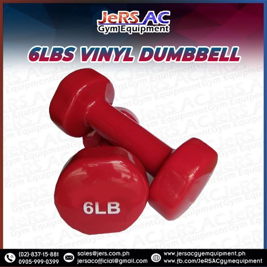 Picture of 6lbs Vinyl Dumbbell Pair